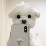 annijingjing - @annijingjing - Instagram