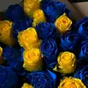 annimartinez60289 - @annimartinez35 - TikTok