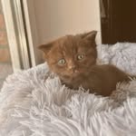 Hanna Ackermann - @annitee972 - Instagram