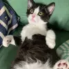 annie_._walter001 - @annie_._walter001 - TikTok