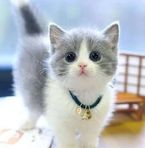 Anya Wei - Facebook
