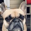 annie_wise - @annie_wise - TikTok