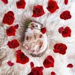 Anni.zhao - @anni.zhao2001 - Instagram