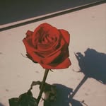 Annick Leblanc - @annick2046 - Instagram