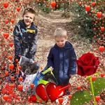 Annick Leblanc - @annick.1509 - Instagram