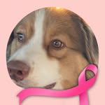 Annick Leblanc - @annick.leblanc.716 - Instagram