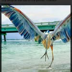 Annick Meuleman - @beachplover66 - Instagram