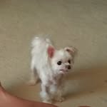 Annie ahn - @ahn2370 - Instagram