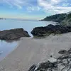 _Ann1e_ - @annie.baird0 - TikTok
