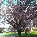 Annie Barron - @annie.barron.7564 - Instagram