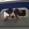 annie - @annie.barton58 - TikTok
