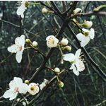 Annie Barton - @light_plus_dark - Instagram