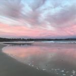 Annie Bateman - @annie.bateman.77 - Instagram