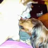 anniebateman71 - @annie.bateman6 - TikTok