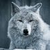 Annie Batson - Facebook