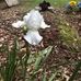 Annie Batson - Facebook