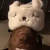 Annie - @aanniebaxter - TikTok