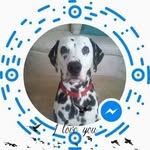 Annie Baxter - @anniebaxter300 - Instagram
