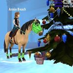 Annie Beach - @horse_tales_girl - Instagram