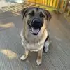 Annie Beach - @annie.beach0 - TikTok