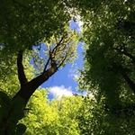 Annie Beach - @beach3599 - Instagram