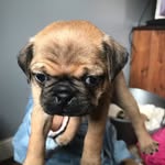@annie_bean_11 - Instagram