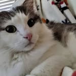 Annie Bean - @andrewlegumes - Instagram
