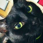 Annie Bean - @anniebeanh - Instagram