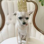 Annie Bean Brockman - @life_with_annie_and_minnie - Instagram