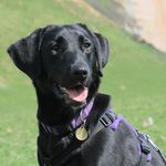 Annette Beardsley - @paprikab - Instagram
