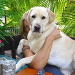 Anastasia Beaverhausen - @anniebeaverhausen - Instagram