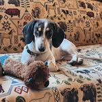 Annie Beaverhausen - @annie.beaverhausen - Instagram