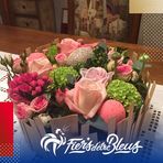Annie Beiser - Facebook