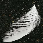 Annette Bellinger - @annettebellinger - Instagram
