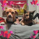 Annie Benally - @anniebenally - Instagram