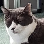 Anne Berkowitz - @annieberky63 - Instagram
