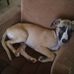 Annie Bernier Bernier - Facebook