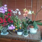 annie Bernier Bernier - @berni.er1948 - Instagram