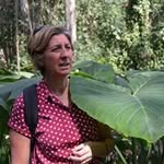 Annie Bertin - @bertinannie - Instagram