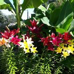 Annie Bertin - Facebook