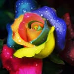 Anne Bialek - @annie_b121 - Instagram