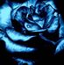 Annie Bills - Facebook