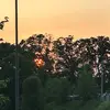 Annie🌅🍓 - @annie.bower2 - TikTok