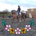 Annie Bower - Facebook