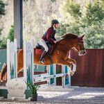 annie bower - @aeb.equestriann - Instagram