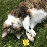 Annie Brady - @anniebrady77 - Instagram