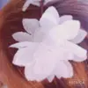 Annie Brand - @annie.brand - TikTok