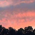 Anne Grace Gaddy Brasington - @drpepper12387 - Instagram