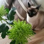 이지영 - @annie.l.britton - Instagram