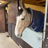 Annie - @anniebritton57 - TikTok